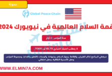 قمة السلام العالمية 2024 في نيويورك، الولايات المتحدة الأمريكية | مقاعد ممولة بالكامل ومقاعد ممولة جزئيًا