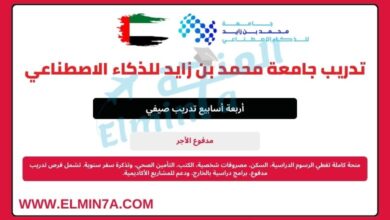 برنامج التدريب البحثي لجامعة محمد بن زايد للذكاء الاصطناعي في الإمارات العربية المتحدة (ممول بالكامل)