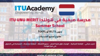 مدرسة صيفية في هولندا ITU UNU MERIT Summer School | ممولة