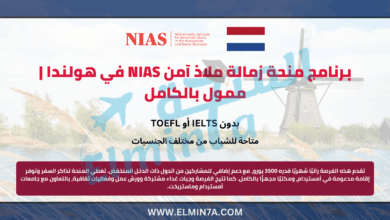 منحة NIAS Safe Haven Fellowship في هولندا 2026 | ممولة بالكامل 10 منحة NIAS Safe Haven Fellowship في هولندا 2026 | ممولة بالكامل