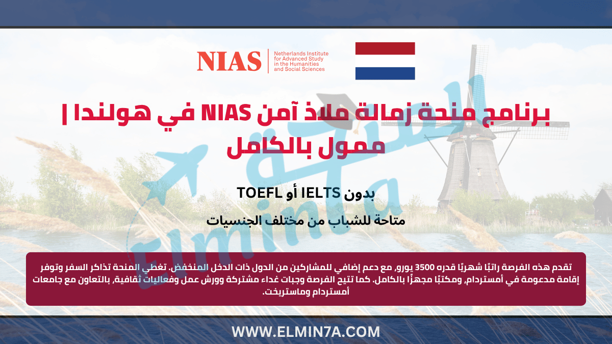 منحة NIAS Safe Haven Fellowship في هولندا 2026 | ممولة بالكامل