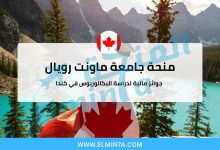 منحة جامعة ماونت رويال : جوائز مالية لدراسة البكالوريوس في كندا 3 منحة جامعة ماونت رويال : جوائز مالية لدراسة البكالوريوس في كندا