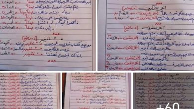 متشابهات القرآن الكريم بين يديك الآن! 4 متشابهات القرآن الكريم بين يديك الآن!