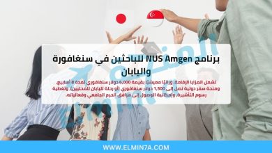 برنامج NUS Amgen للباحثين 2026 في سنغافورة واليابان (ممولة بالكامل) 5 برنامج NUS Amgen للباحثين 2026 في سنغافورة واليابان (ممولة بالكامل)