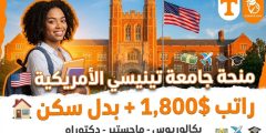 منحة جامعة تينيسي : ادرس في أمريكا بتمويل كامل وراتب شهري
