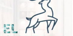 محاسب – منيا القمح – الشرقية