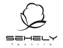 مساعد شخصي - personal assistant - المحلة الكبرى - الغربية