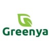 Export Sales Executive
