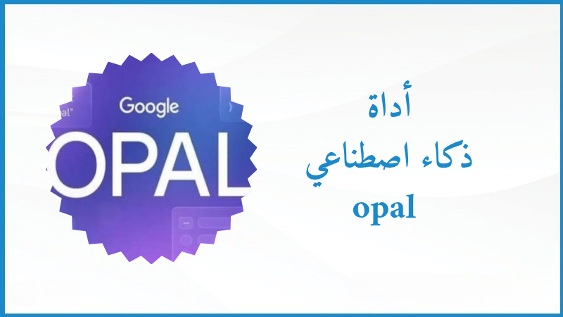 أداة Opal: رفيقك الذكي للتفكير بوضوح والتنظيم بلا تعقيد