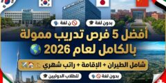 أفضل 5 فرص تدريب ممولة بالكامل في الخارج للطلاب الدوليين 2026