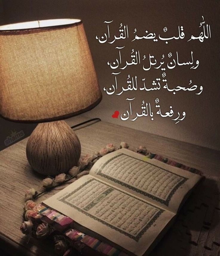 أفضل مواقع حفظ القرآن الكريم أونلاين | تعلّم الحفظ من أي مكان