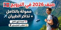 المدرسة الصيفية الدولية بجامعة أوسلو في النرويج (ممولة بالكامل)