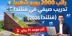صيفك في فنلندا: فرصة بحثية براتب “خيالي” لطلاب الجامعات!