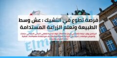 فرصة تطوع في التشيك 2026: عش وسط الطبيعة وتعلم الزراعة المستدامة (ممول بالكامل)