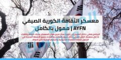 معسكر الثقافة الكورية الصيفي 2026 في سيول (ممول بالكامل) | AYFN