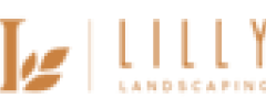 سائقين (رخصة مهنية) – مدينتى – القاهرة