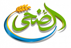 مندوب سائق (القاهرة الكبرى) - رخصة خاصة او مهنية - القطامية - القاهرة