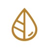 Senior Graphic Designer