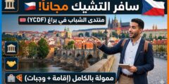 منتدى الدبلوماسية الثقافية للشباب في التشيك (فرص ممولة بالكامل وجزئياً)