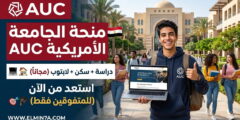 منح الجامعة الأمريكية بالقاهرة (AUC) الممولة من المانحين (تمويل كلي وجزئي)