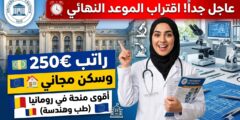 منحة جامعة كرايوفا في رومانيا (ممولة بالكامل مع مخصص شهري)