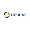 CorpRise | Investability Design hiring Junior Analyst – Investor Relations & Financial Analysis in Cairo, Egypt | LinkedIn