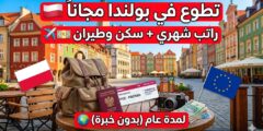 برنامج التطوع في بولندا : شامل الإقامة والراتب الشهري (ممول بالكامل)