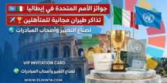 جوائز الأمم المتحدة لتحفيز العمل على SDG في إيطاليا – دعم سفر وتقدير عالمي