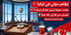 قمة الدبلوماسية العامة للشباب في تركيا: سافر إلى أنقرة لحضور مؤتمر ممول بالكامل
