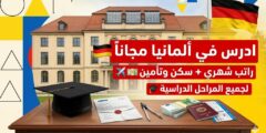 منحة جامعة فايمار (باوهاوس) في ألمانيا  – ممولة بالكامل (رسوم + معيشة + تأمين)