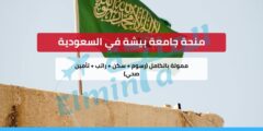 منحة جامعة بيشة في السعودية – ممولة بالكامل (رسوم + سكن + راتب + تأمين صحي)