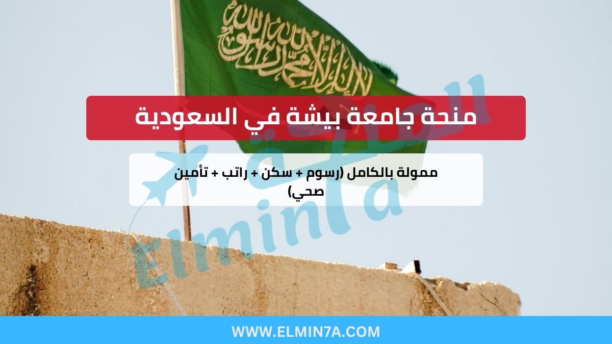 منحة جامعة بيشة في السعودية – ممولة بالكامل (رسوم + سكن + راتب + تأمين صحي)