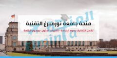 منح جامعة نورمبرغ التقنية (FAU) في ألمانيا – ممولة بالكامل (Deutschlandstipendium + منح إضافية)