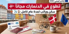 فرصة تطوع في الدنمارك : مع منظمة AFS Interkultur