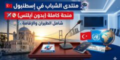 منتدى الشباب للدبلوماسية في تركيا – فرصة في إسطنبول (تمويل كامل وجزئي)