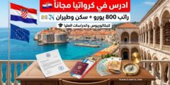 منحة جامعة دوبروفنيك في كرواتيا – دعم مالي كامل للبكالوريوس والماجستير والدكتوراه