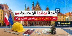 منحة جامعة فروتسواف للعلوم والتكنولوجيا في بولندا – إعفاء من الرسوم ودعم مالي (بكالوريوس وماجستير)