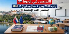 وظيفة مدرس لغة إنجليزية – براتيسلافا، سلوفاكيا