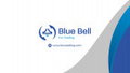 Procurement Engineer job at Blue Bell Egypt in Bourj Alarab, Alexandria