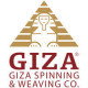 Recruitment Specialist job at Giza Spinning and Weaving in Imbaba, Giza