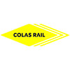 Colas Rail Egypt كولاس ريل مصر hiring Security Supervisor, in Cairo, Cairo, Egypt | LinkedIn
