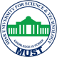 Marketing Manager job at Misr University for Science and Technology in 6th of October, Giza