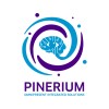 Pinerium hiring Zoho Account Manager, in Alexandria, Alexandria, Egypt | LinkedIn