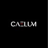 Caelum Group GmbH hiring HR Coordinator, in Cairo, Egypt | LinkedIn
