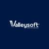 Valleysoft | Center of Excellence hiring Onsite PM (Delivery, Data and Business hands on), in Cairo, Cairo, Egypt | LinkedIn