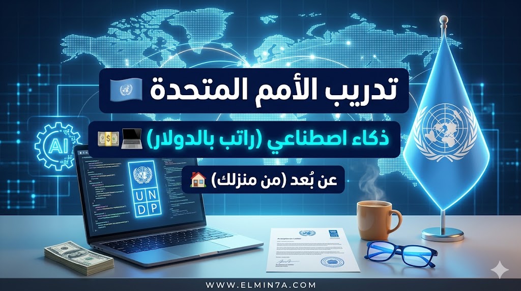 تدريب برنامج الأمم المتحدة الإنمائي (UNDP) في الرقمنة والذكاء الاصطناعي (ممول وعن بُعد)