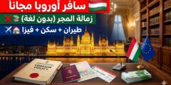 برنامج قادة المستقبل في المجر: زمالة دولية ممولة بالكامل في بودابست