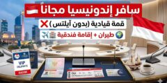قمة الدبلوماسية العامة للشباب في إندونيسيا : فرصة سفر ممولة بالكامل إلى جاكرتا