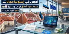 منحة المدرسة الإستونية للأعمال في إستونيا (تمويل كامل وجزئي)