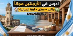 منحة جامعة مار ديل بلاتا الوطنية الأرجنتينية (ممولة بالكامل)